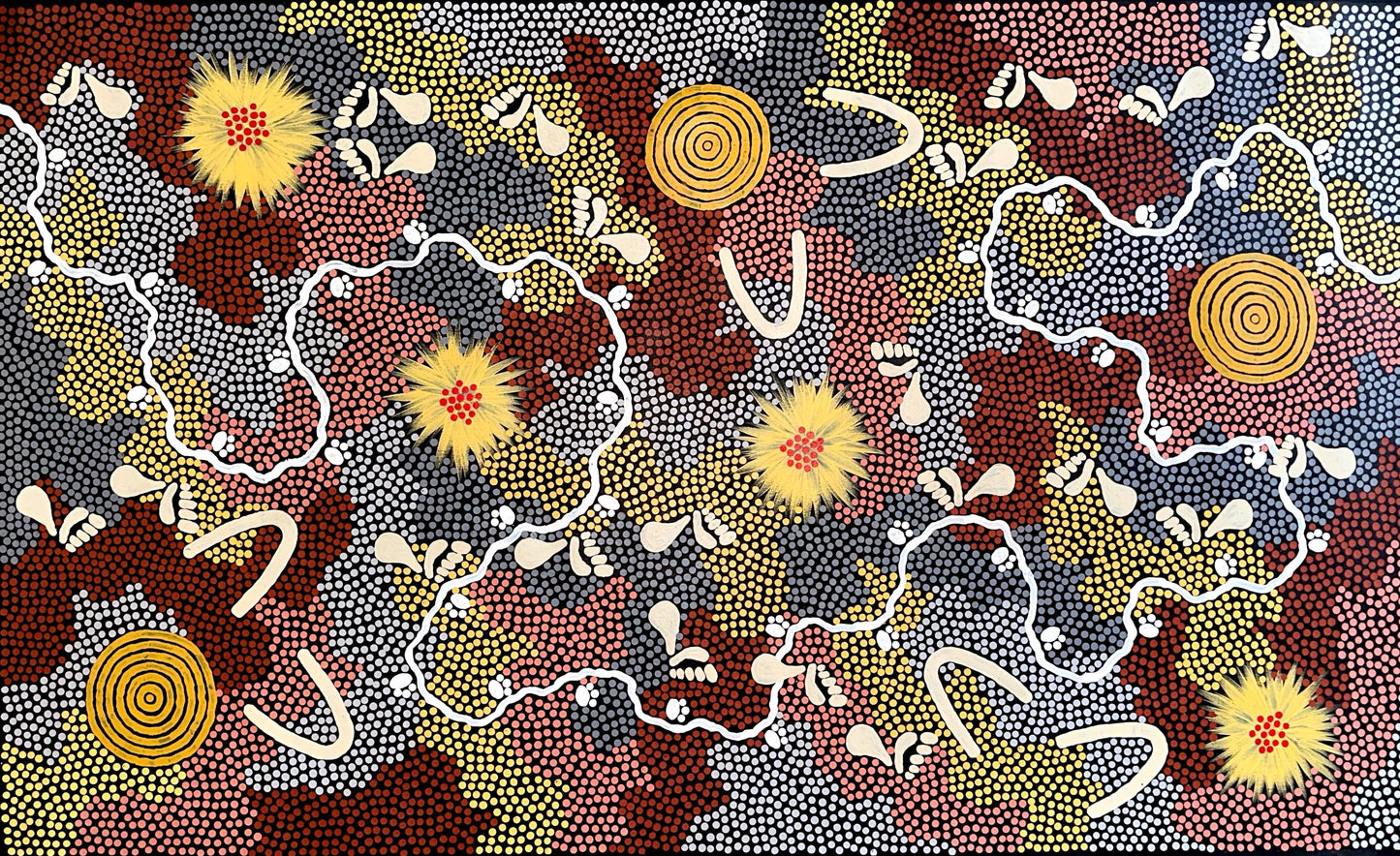 "Possum Dreaming" By Danny Possum Tjampitjinpa