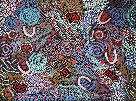 "Grandmother's Country" By Gabriella Possum Nungurrayi