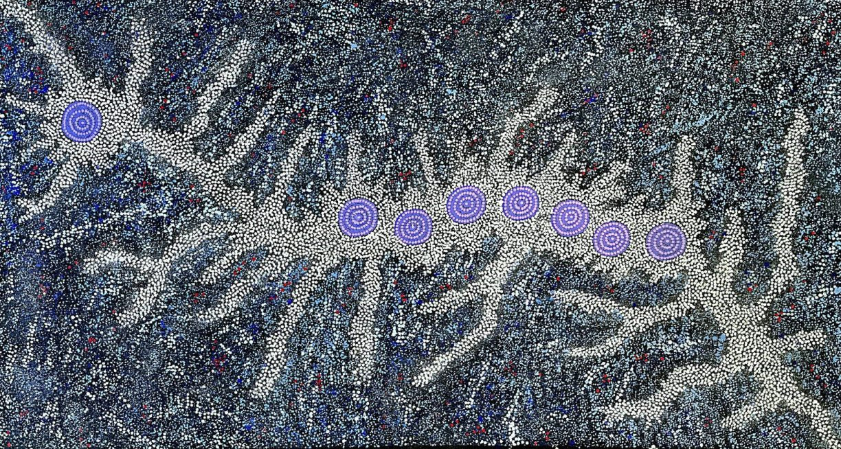 Gabriella Possum's Seven Sister artwork depicting the night sky