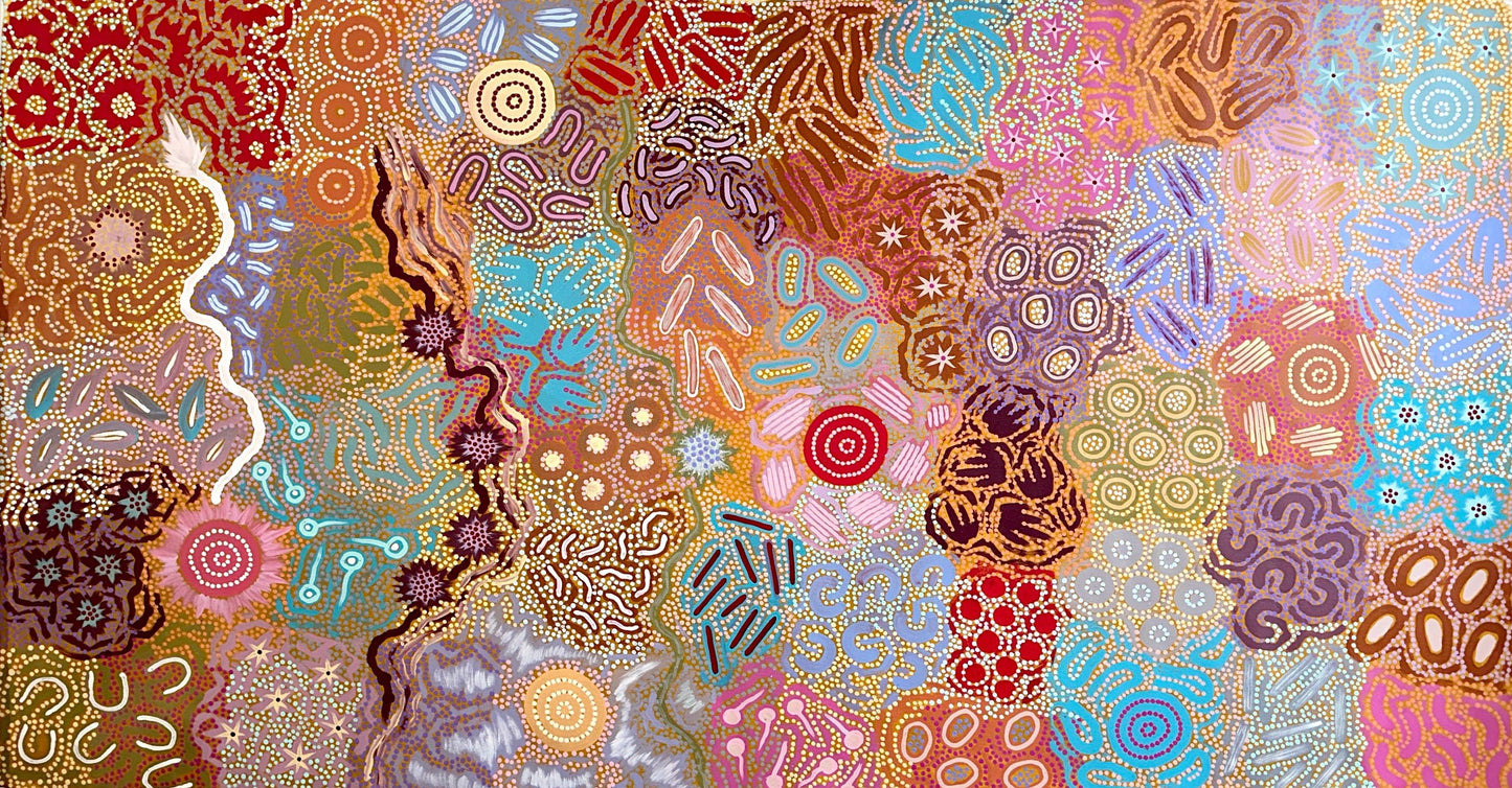 Michelle Possum's abstract artwork depicting grandmother country