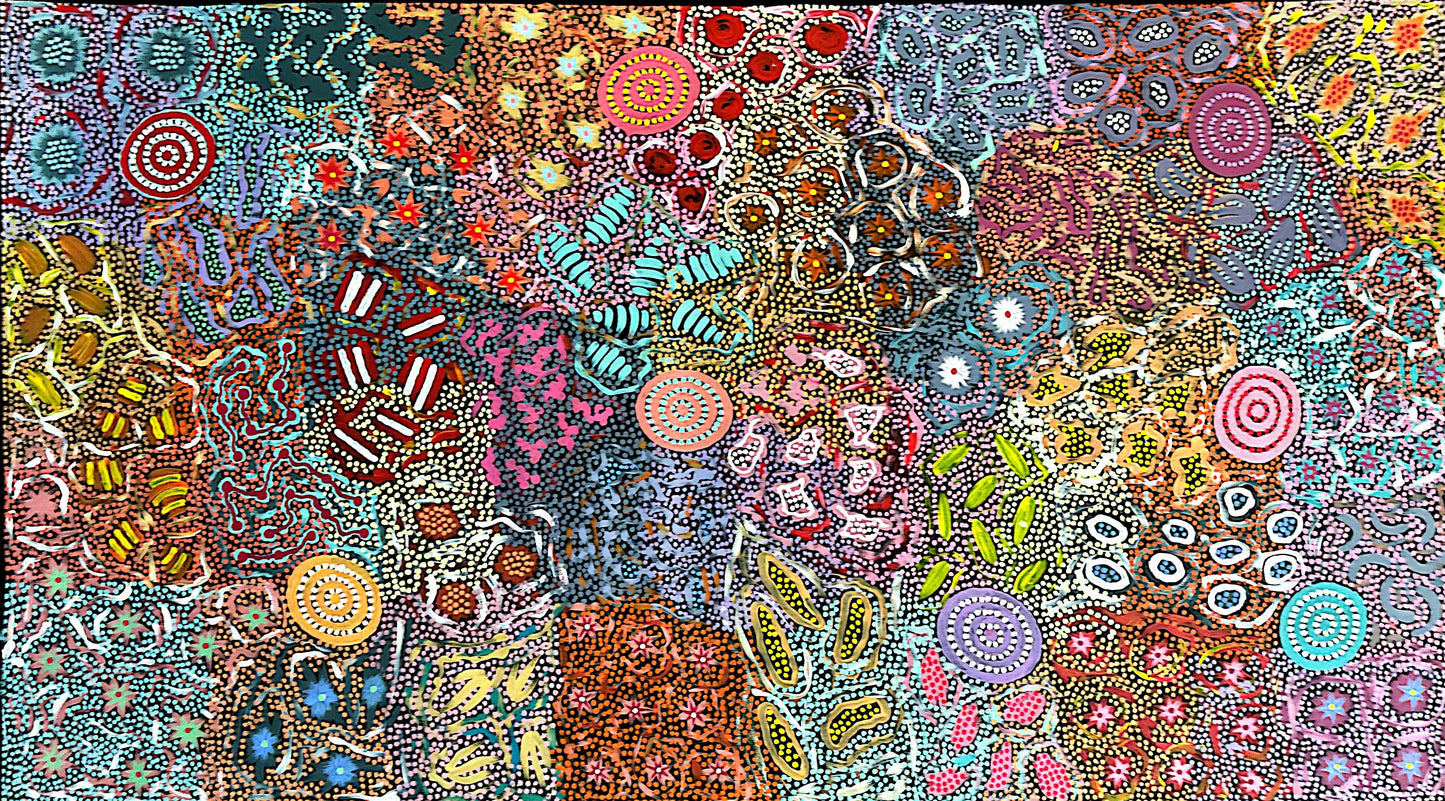 Michelle Possum's abstract artwork depicting grandmother country