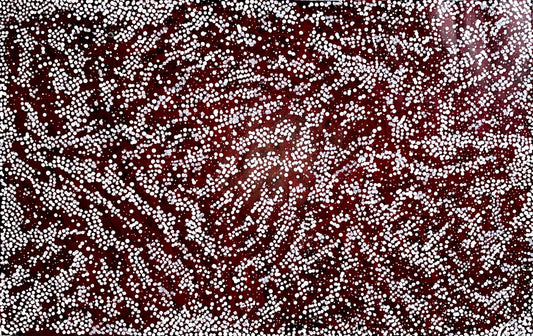 Nyrulla Possum's depiction of salt lakes using small white dots on a dark background